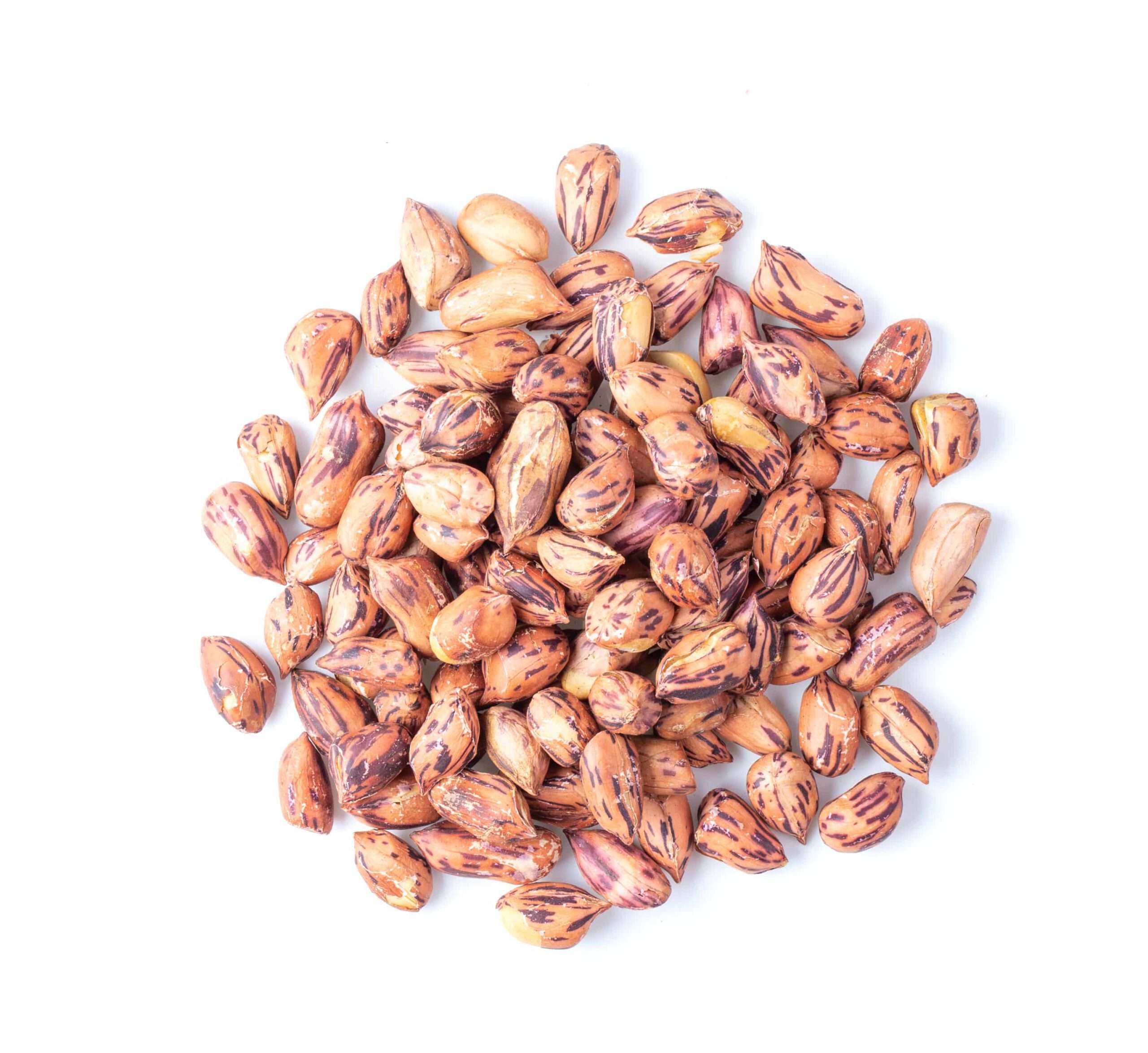 Roasted,Peanuts,,thai,Name,Is,Tiger-stripe,Beans,Isolated,On,White שעועית ברבוניה הכל דבש