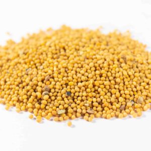 חרדל צהוב שלם הכל דבש