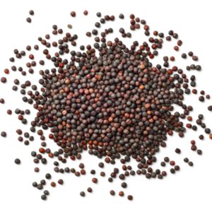 חרדל שחור שלם הכל דבש